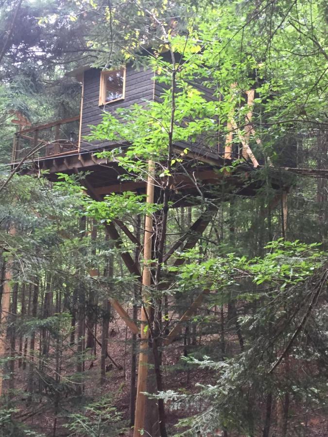 Cabane De L'Ecureuil Otel Châtel-Guyon Dış mekan fotoğraf